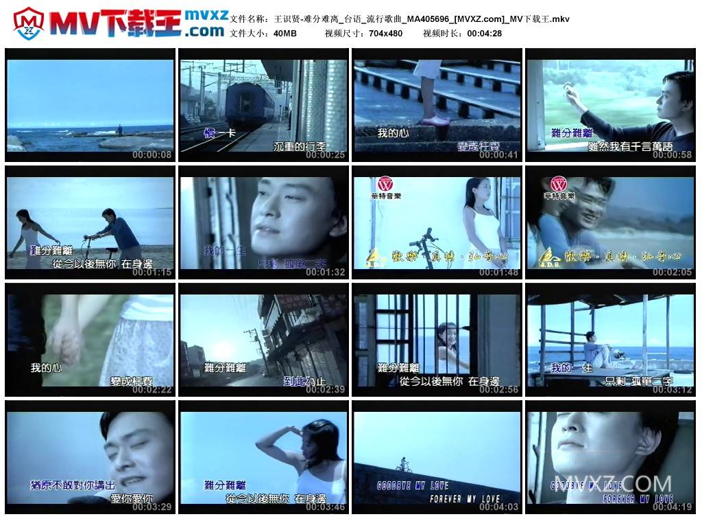 王识贤-难分难离_台语_流行歌曲_MA405696